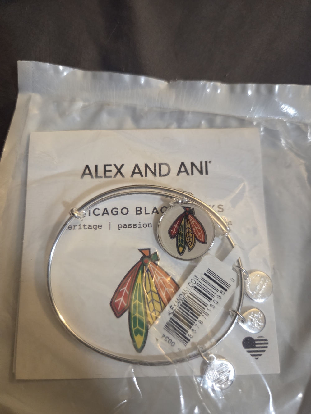 Alex and Ani Chicago Blackhawks Silver Charm Bangle